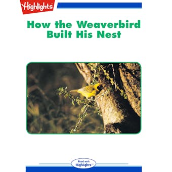 How the Weaverbird Built His Nest - undefined