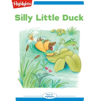 Silly Little Duck - undefined