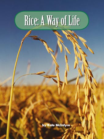 Rice: A Way of Life - undefined
