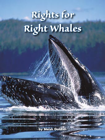 Rights for Right Whales - undefined