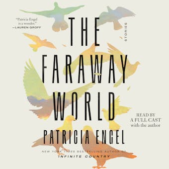 The Faraway World: Stories - undefined