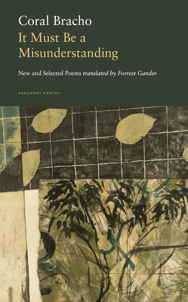 It Must Be a Misunderstanding : New and Selected Poems