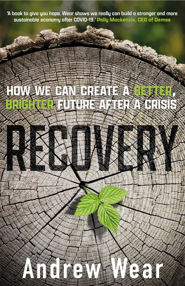 Recovery : How We Can Create a Better, Brighter Future after a Crisis