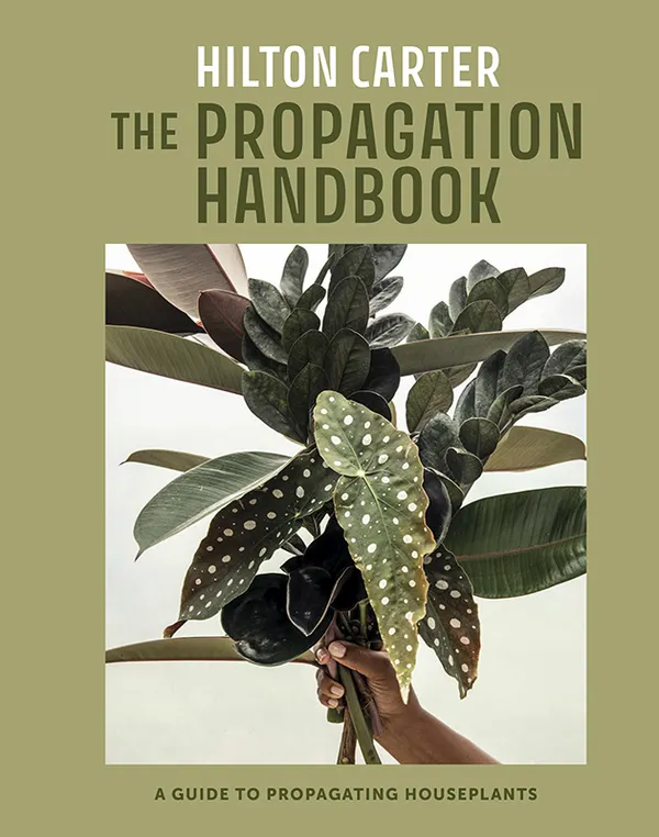 The Propagation Handbook : A guide to propagating houseplants