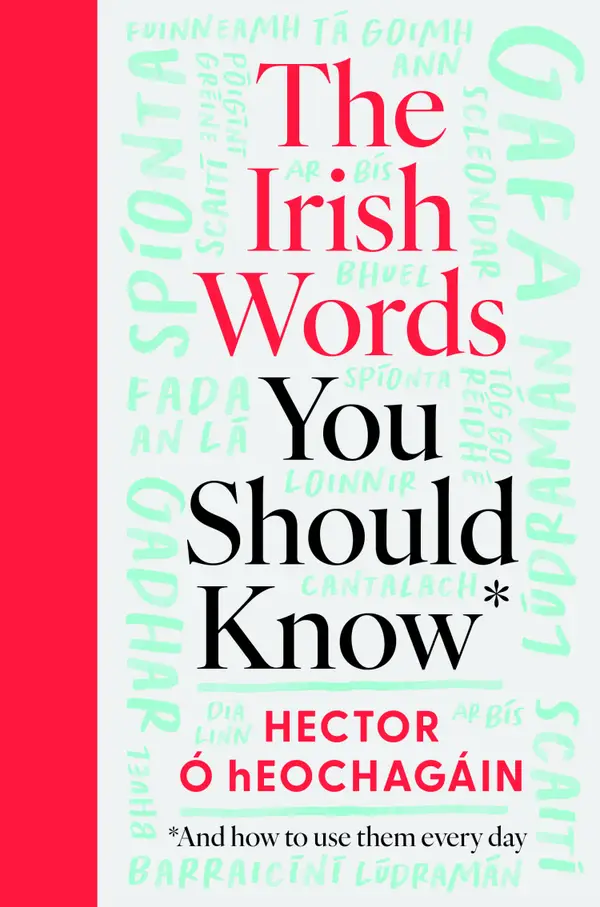 The Irish Words You Should Know : and how to use them every day