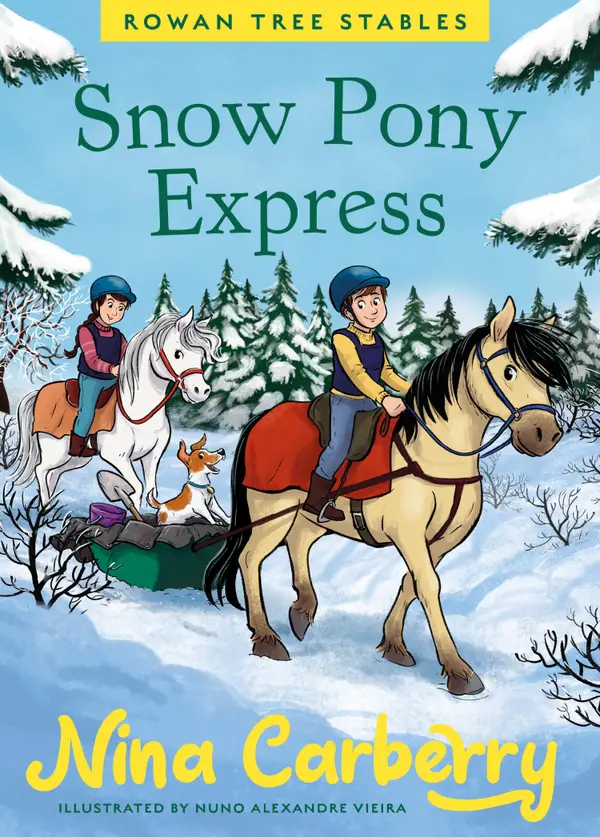 Rowan Tree Stables : Snow Pony Express