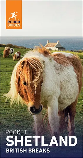 Rough Guides Pocket British Breaks Shetland: Travel Guide eBook
