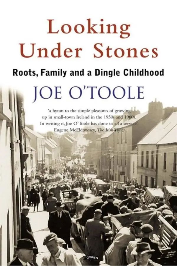 Looking Under Stones : Roots, Family and a Dingle Childhood
