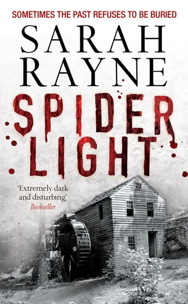Spider Light : A compelling psychological thriller with a dark twist ...