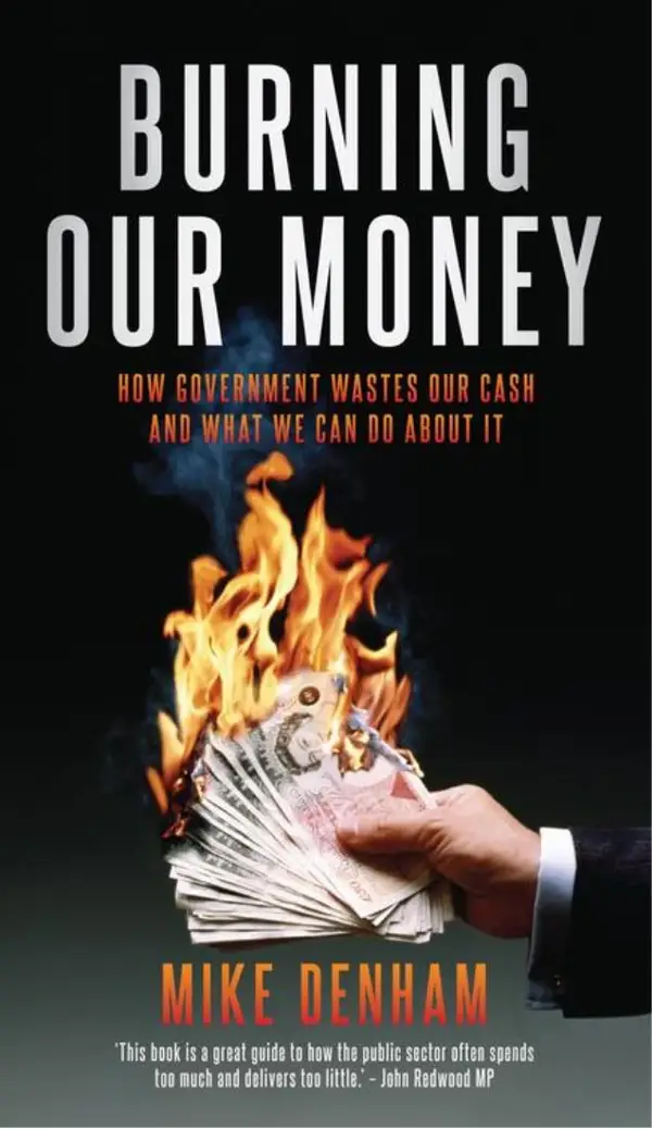 Burning Our Money : How Government wastes our cash and what we can do about it