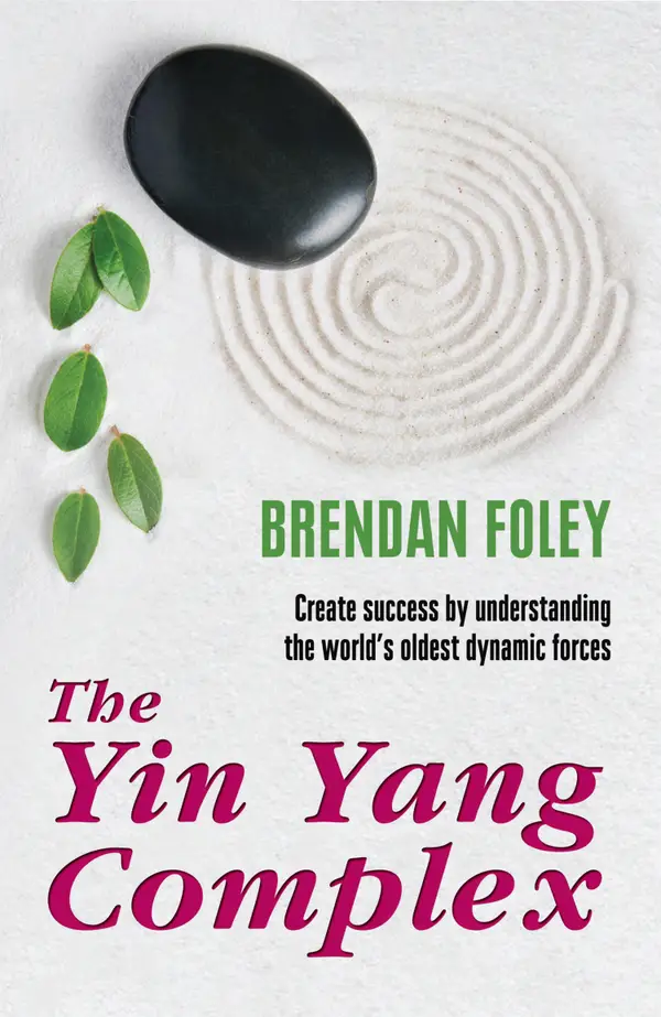 The Yin Yang Complex: Create success by understanding one of the world's oldest dynamic forces
