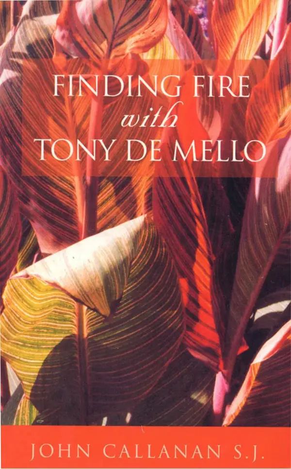 Finding Fire With Tony De Mello