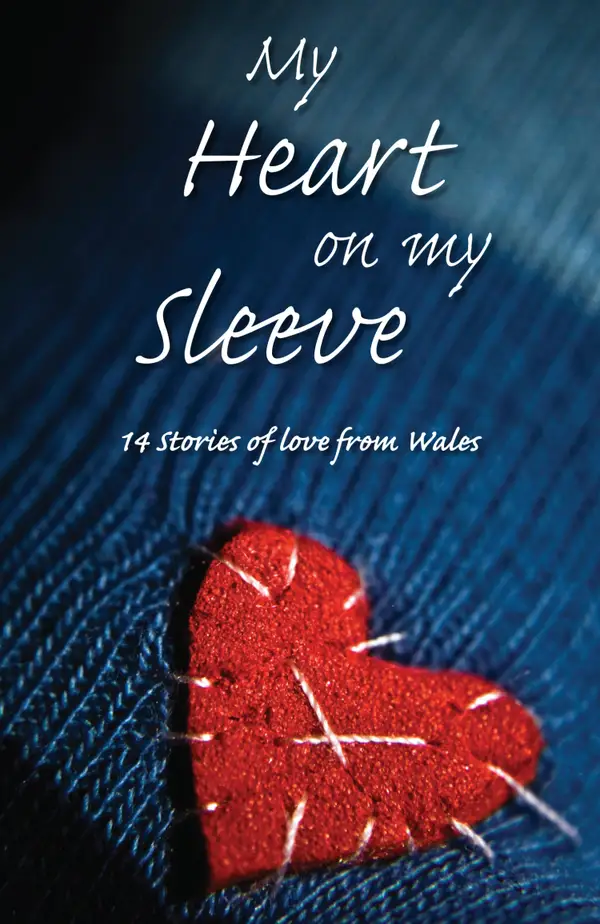 My Heart on My Sleeve : 14 Stories of Love from Wales