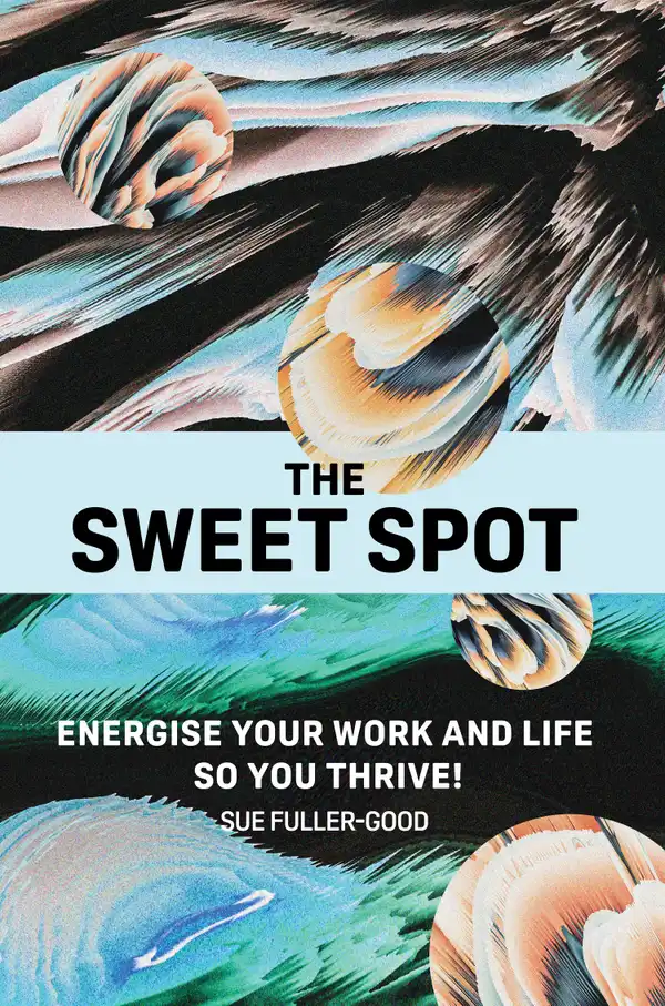 The Sweet Spot : Energise your work and life so you thrive!