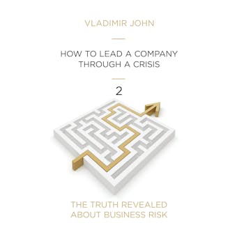 How To Get a Company Through a Crisis - Vladimir John