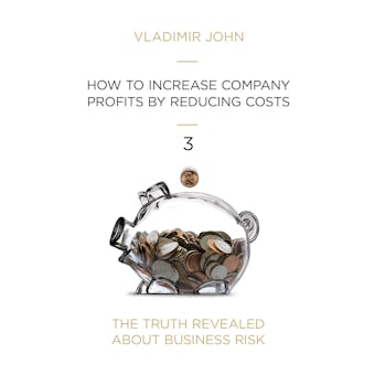 How to Increase Company Profits by Reducing Costs - Vladimir John