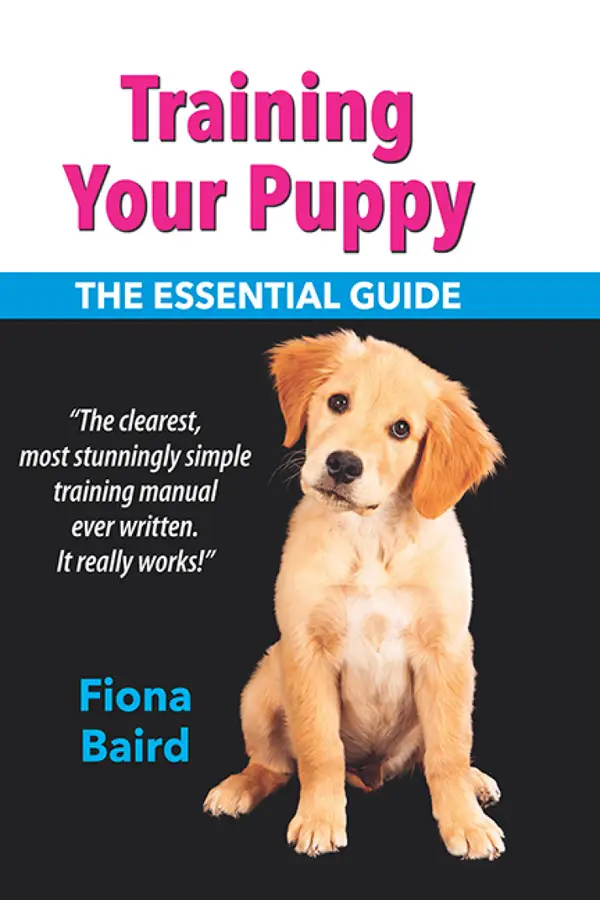 Training Your Puppy : The Essential Guide
