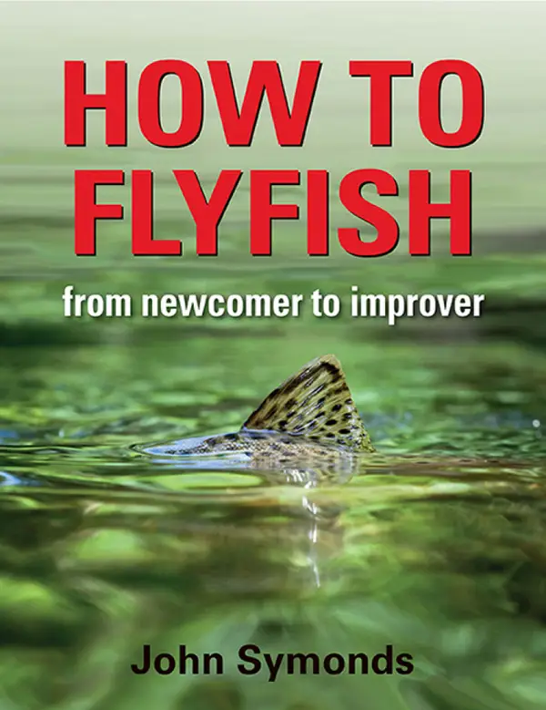 How to Flyfish : From newcomer to improver