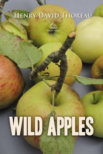 Wild Apples - undefined