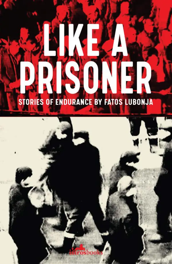 Like a Prisoner : Stories of Endurance