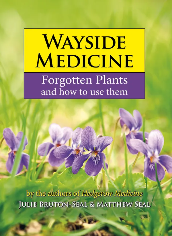 Wayside Medicine : Forgotten Plants and how to use them