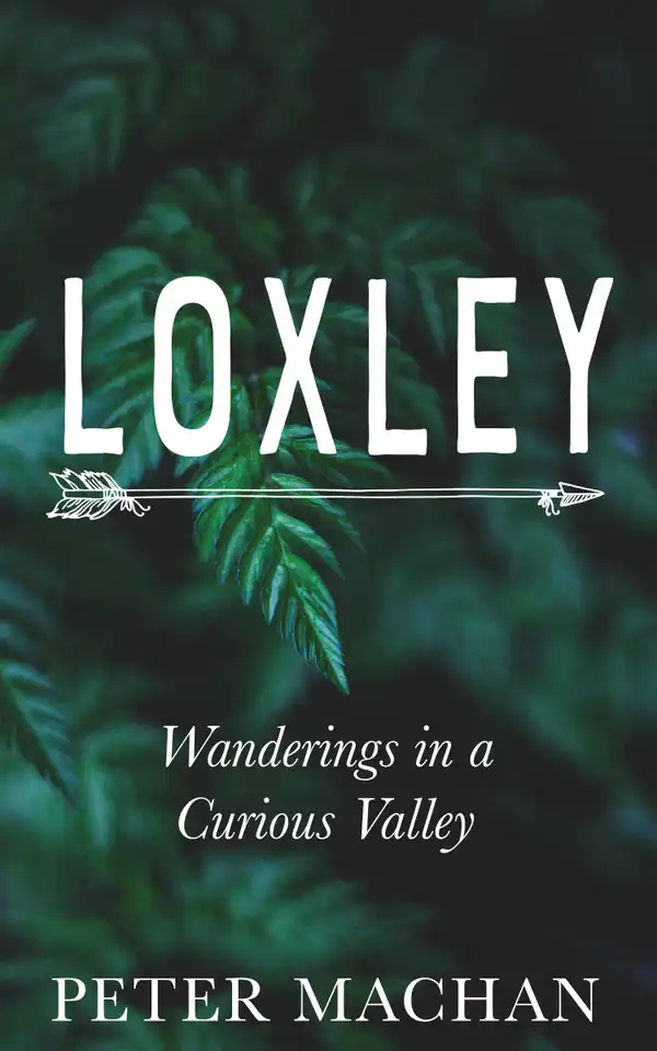 Loxley : Wanderings In A Curious Valley