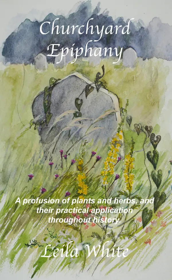 Churchyard Epiphany : A profusion of plants and herbs, and their practical application throughout history