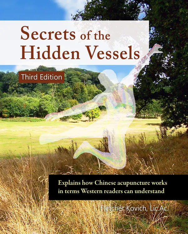 Secrets of the Hidden Vessels : Explains how Chinese acupuncture works in terms Western readers can understand