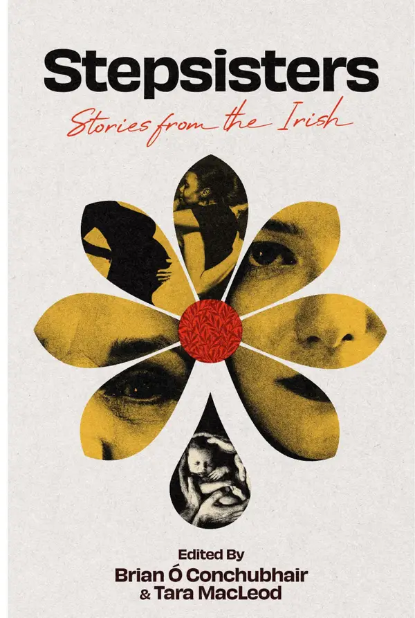 Stepsisters : Stories from the Irish