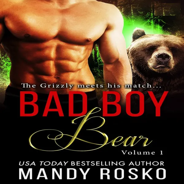 Bad Boy Bear: Vol 1