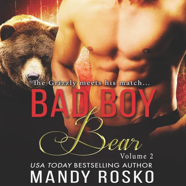 Bad Boy Bear: Vol 2