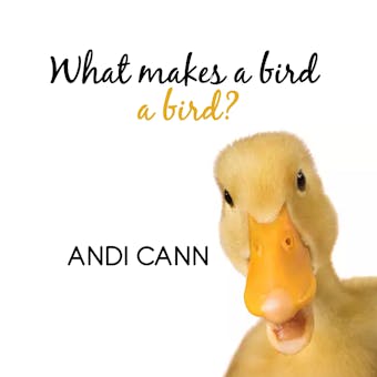 What Makes a Bird a Bird? - Andi Cann