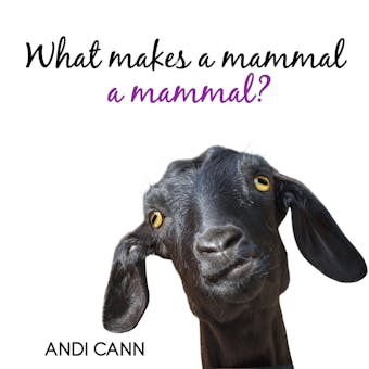 What Makes a Mammal a Mammal? - Andi Cann