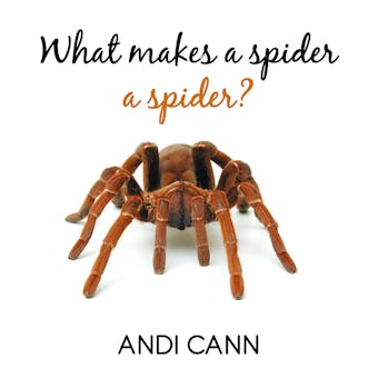 What Makes a Spider a Spider? - Andi Cann