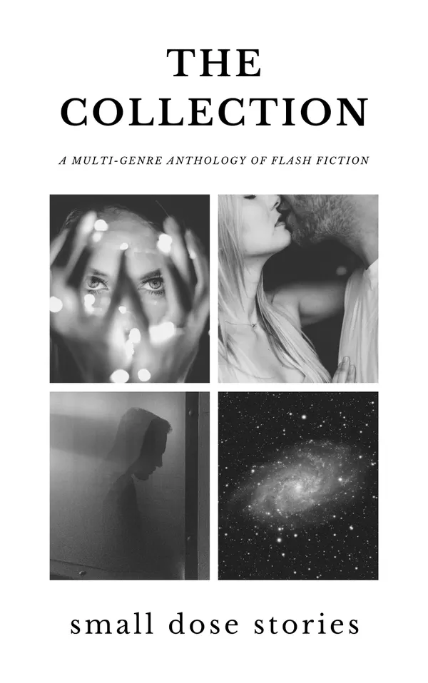 The Collection : A Multi-Genre Anthology of Flash Fiction