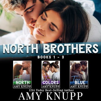 North Brothers Books 1-3 - Amy Knupp