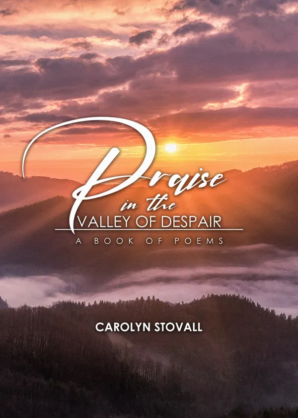 Praise in the Valley of Despair : A Book of Poems