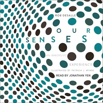 Our Senses: An Immersive Experience