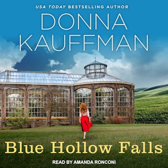 Blue Hollow Falls: Blue Hollow Falls, Book 1 - Donna Kauffman