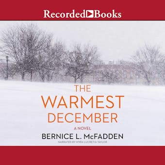 The Warmest December: A Novel - undefined