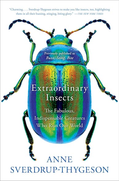 Extraordinary Insects : The Fabulous, Indispensable Creatures Who Run Our World