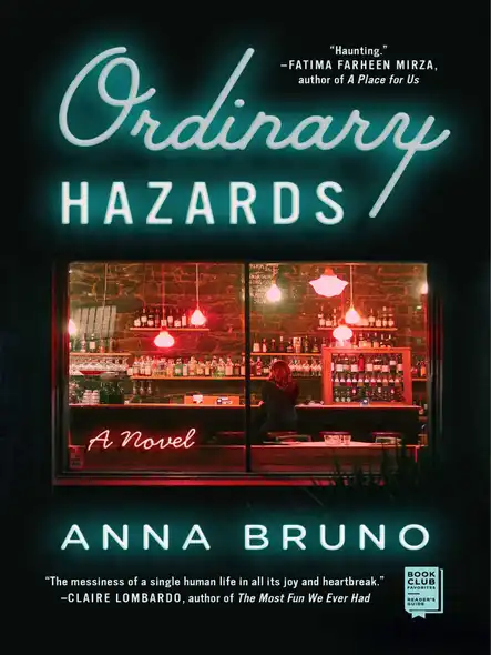 Ordinary Hazards : A Novel