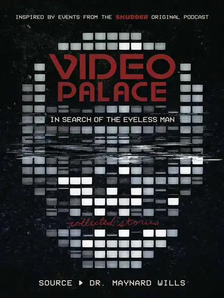 Video Palace: In Search Of The Eyeless Man : Collected Stories