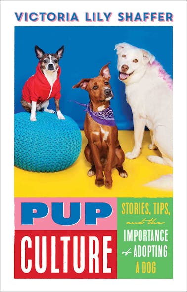 Pup Culture : Stories, Tips, And The Importance Of Adopting A Dog