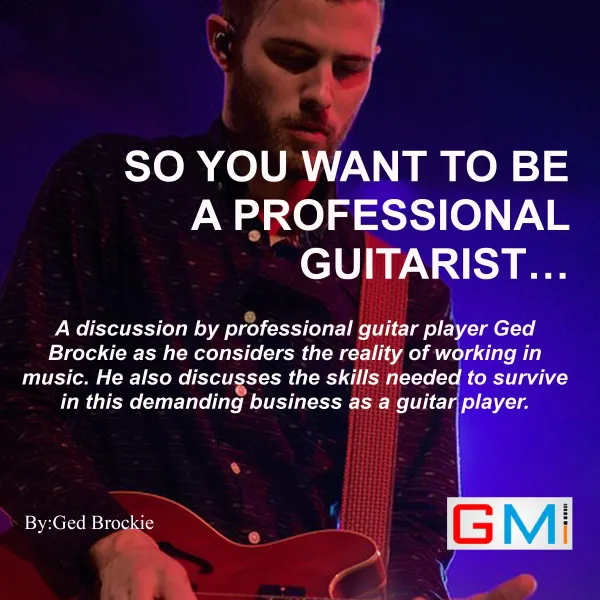 So You Want To Be A Professional Guitarist : 