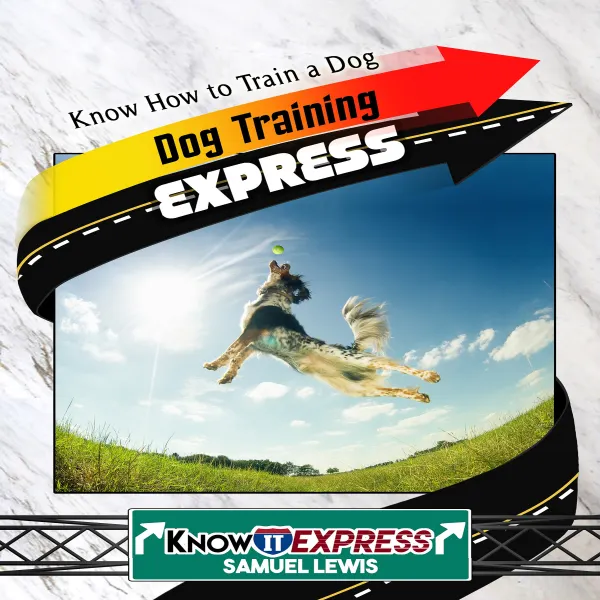 Dog Training Express : 