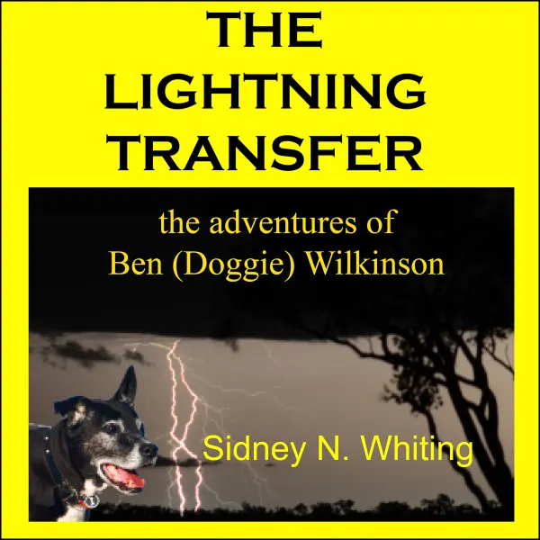 The Lightning Transfer : 