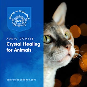 Crystal Healing for Animals - undefined