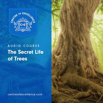 The Secret Life of Trees - Centre of Excellence