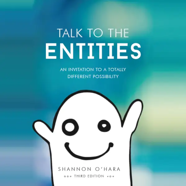Talk to the Entities : An Invitation to a Totally Different Possibility